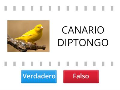 HIATO Y DIPTONGO . INDICAR VERDADERO O FALSO