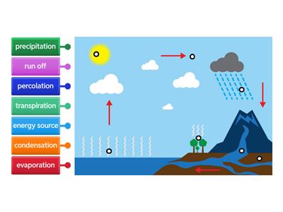 year 8 The Water Cycle