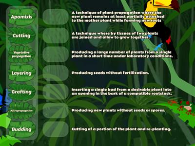 Methods of Asexual Reproduction in Plants