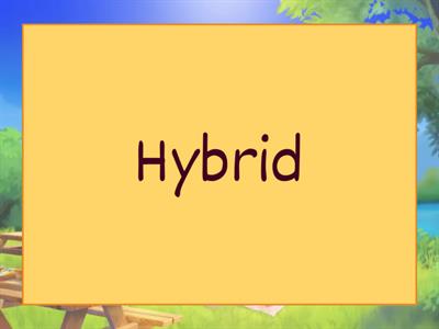 Unit 8 - Mendel, Genetics and Meiosis