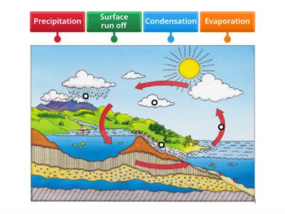  Water Cycle Diagram grade 5 