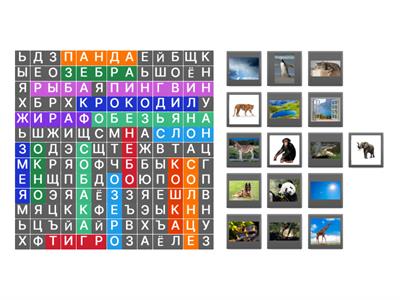 Животные (Привет)