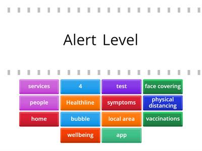 Alert Level 4 Find the Match & Quiz