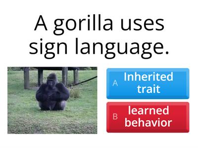  Inherited Traits or Learned Behaviors