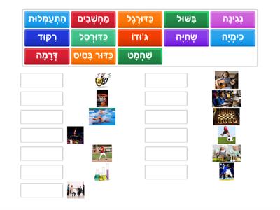 חוגים - תמונות
