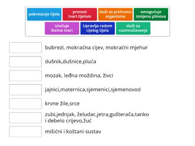 Pronađi mi ulogu -Organi organskih sustava priroda 6