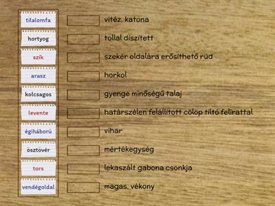 Toldi- Első ének - kifejezések párosítása 6. irodalom