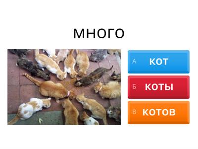  Сорока 2 урок 11 Много чего? 