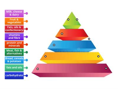 08-Food Pyramid