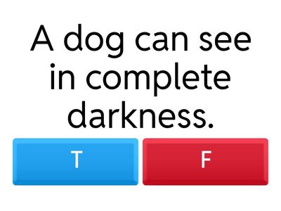 Which answer is wrong?