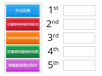 5.4.1 神經系統_反射動作(排序)-熱水