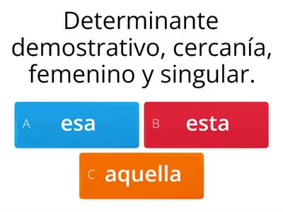 DETERMINANTES Y PRONOMBRES