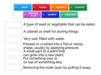 Watch a Seed Sprout! - Vocab 1