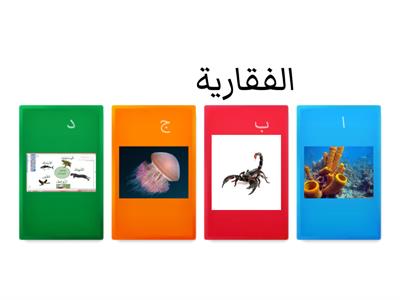 علوم رابع اختبار تنافسي