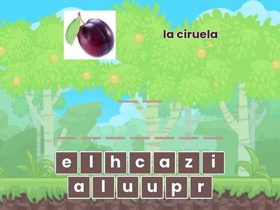 Y3 C2 copy the fruit word