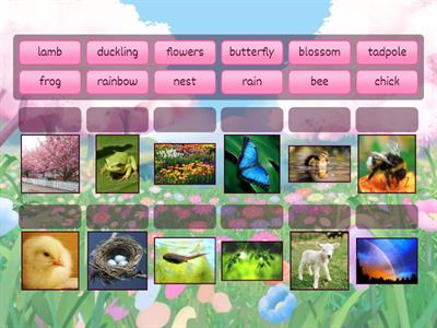 Spring Vocabulary 