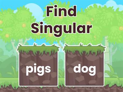 Singular and plural nouns