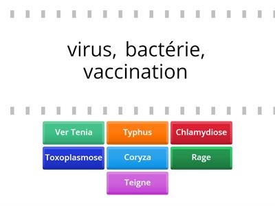 chat santé 7, 8, 9, 10