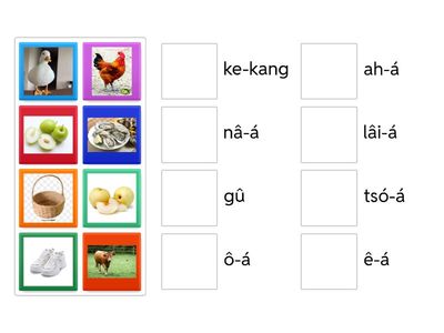 台羅練習（陳金花老師版本）