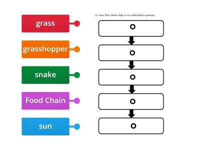 Food Chain