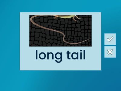 Spotlight 9 Module 3a p.44 Text A  Vocab "LEGENDARY CREATURES"