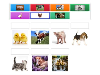 Мамы и малыши