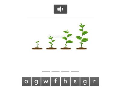 EOW 4 - Unit 5 - Food