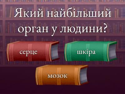 Анатомія людини