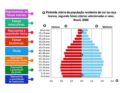 ELEMENTOS DA PIRÂMIDE ETÁRIA