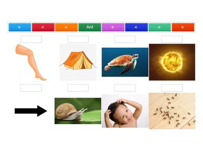 Grade 1- Review+ Phonics