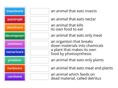 Different types of feeders