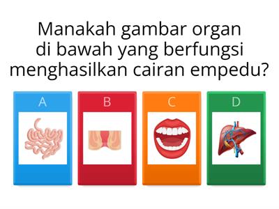 Katta Dick qattiq anal jinsiy aloqa