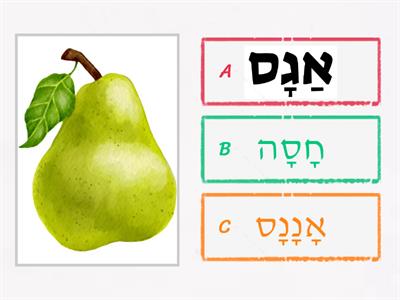 תְּמוּנָה לַמִלָה