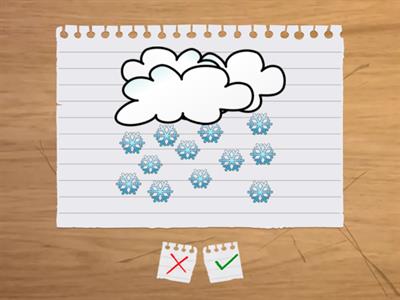 What's the weather like?