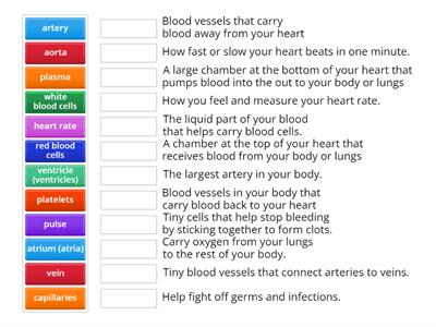 Circulatory System Matching