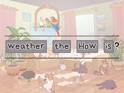 Hang out 2 - Unit 6 Sentences