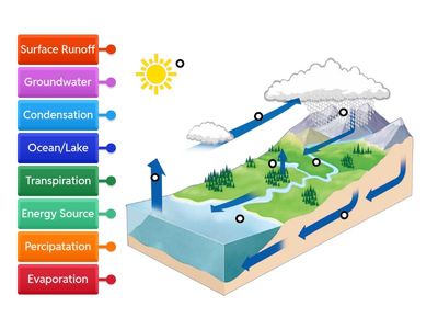 Water Cycle Labeled Diagram 