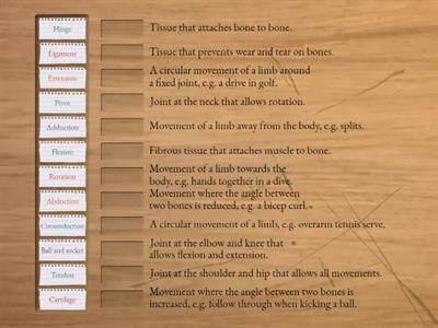 Skeletal system - Joints and movement