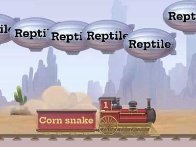 Classification characteristics