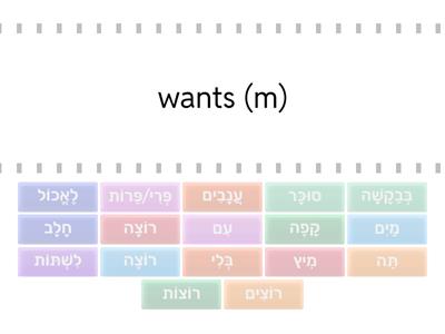 Let's Talk Modern Hebrew for Teens Chapter 4