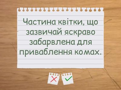 Будова квіткової рослини