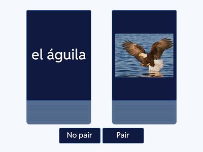Los animales 1: pair/no pair Period 3