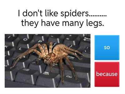 V3.2.E So and Because