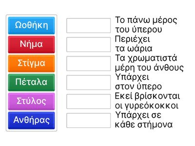 Τα μέρη του άνθους