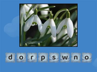 Spring Anagram