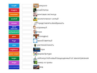 (Module 2) Life in a shell vocabulary