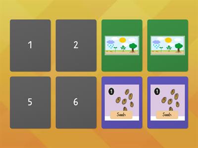 K Plant life cycle Memory game 1 (Unit 3-P4)