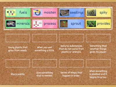HMH M8W1 2nd Grade Vocabulary 