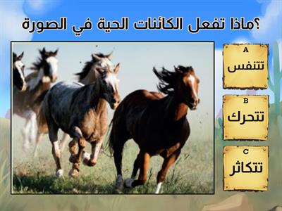 خصائص الكائنات الحية