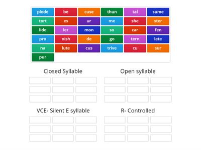 Syllable Sort- Megawords 1